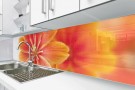 Küchenrückwand Glas nach Maß_LKZ_137