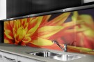 Küchenrückwand Glas nach Maß_LKZ_140