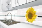 Küchenrückwand Glas nach Maß_LKZ_413