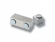 Magnet